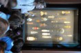 /album/musee-quai-branly/dsc-4527-jpg/